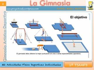 Explorando as Diferentes Modalidades Olímpicas